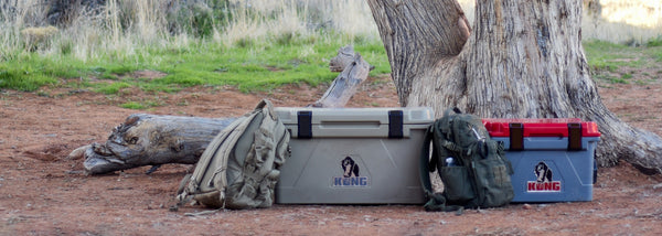 KONG cooler 25 quart and KONG Cooler 70 quart next to tree with closed lids