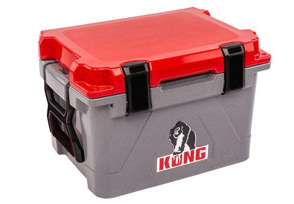 KONG 25