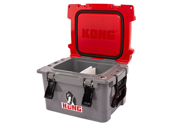 KONG 25